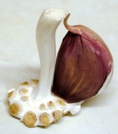A picture named garlic.jpg